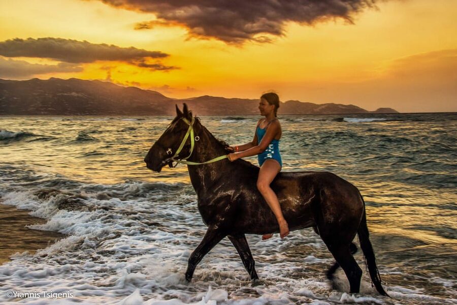 Antalya: Lara Beach & Forrest Horse Riding Safari - Lara Horse Safari: Why This Forest-to-Beach Combo Works