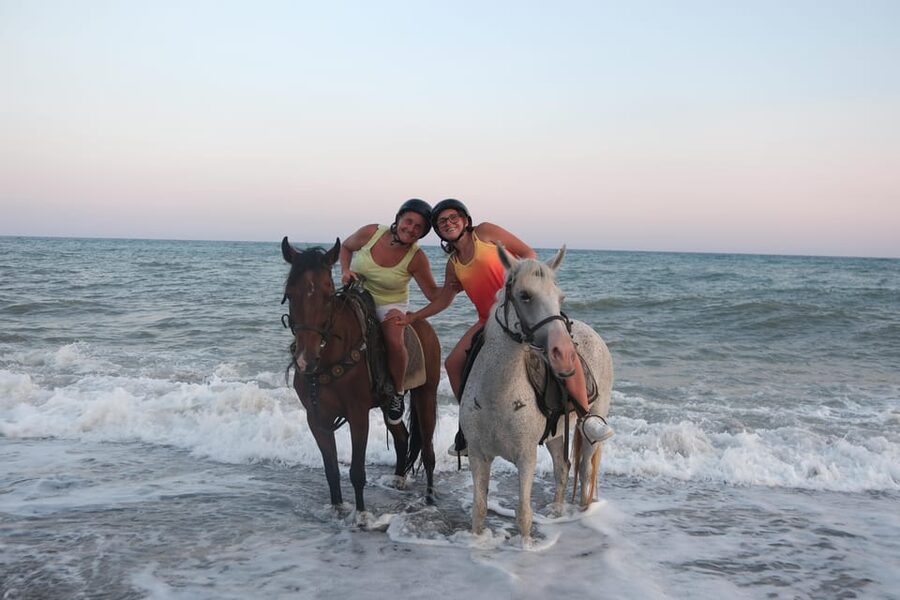 Antalya: Lara Beach & Forrest Horse Riding Safari - Horses and Instructors: Calm Mounts and Hands-On Help