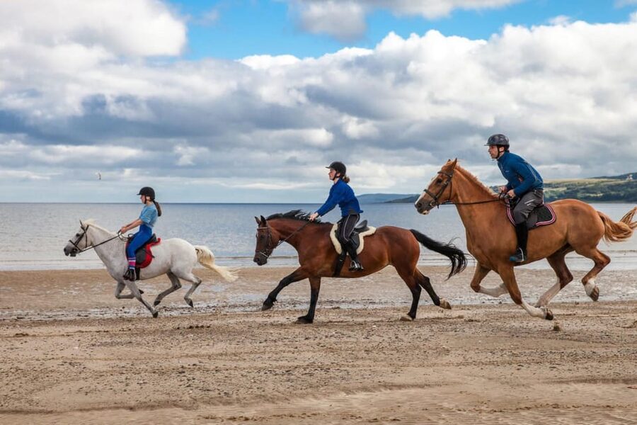 Antalya: Lara Beach & Forrest Horse Riding Safari - How Group Size and Pace Affect Your Experience