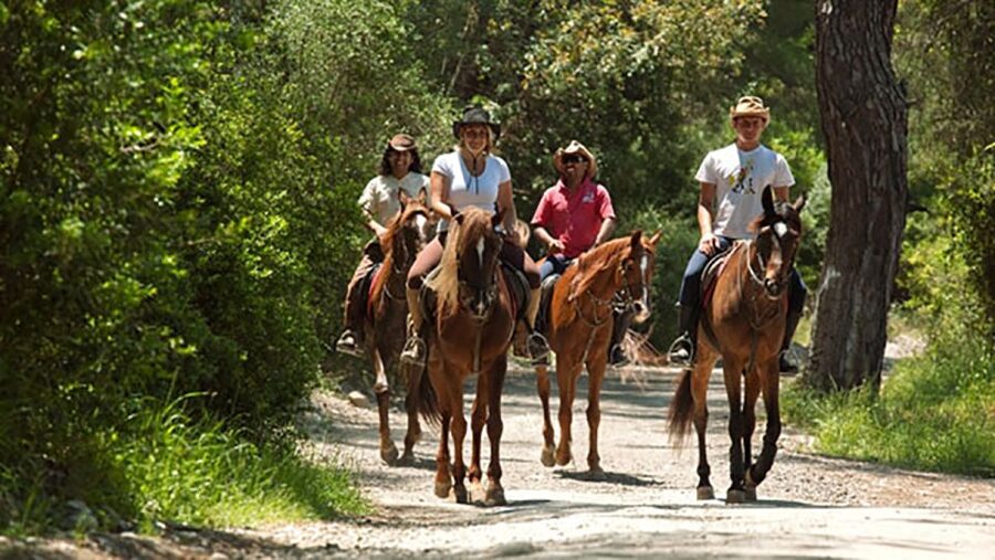 Antalya: Lara Beach & Forrest Horse Riding Safari - Pickup, Meeting Point, and What to Confirm