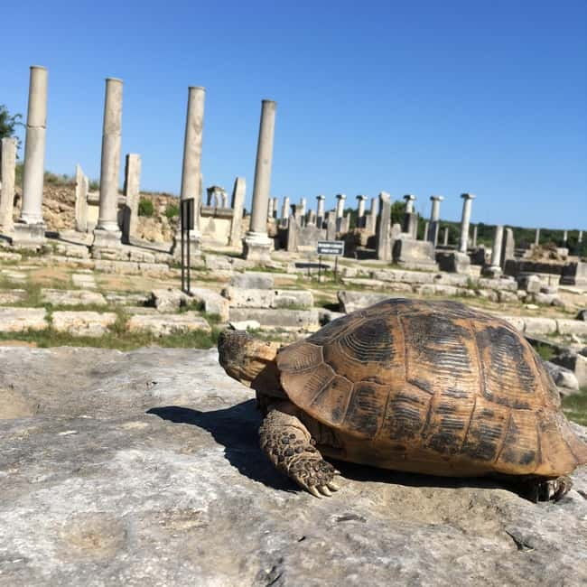 Antalya: Perge Ancient City Tour - Gymnasion and Baths: The Social Side of Ancient Daily Life