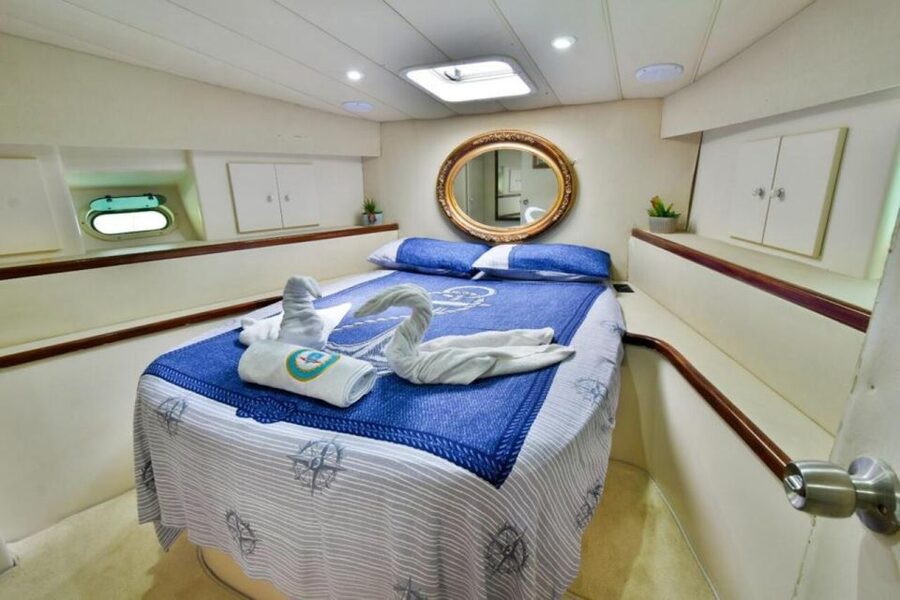 Antalya: Private Yacht Tour with 3 Swim Stops and a Meal - Dolphins and Sea Wildlife: The Fun Part With No Guarantee
