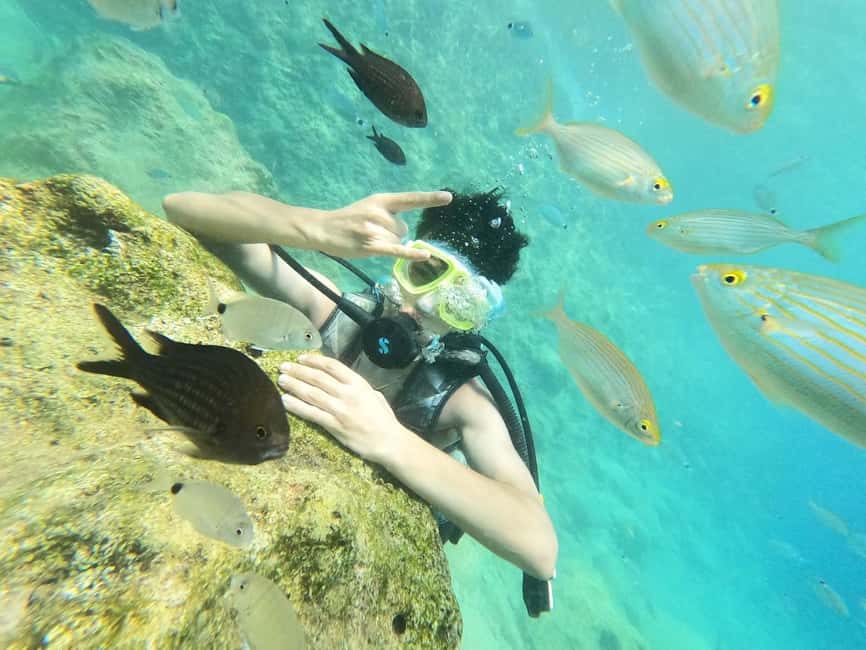 Antalya Scuba Diving Adventure w/Private Expert Diver Option - Aquarium Bay: your first underwater stop at about 5–10 meters