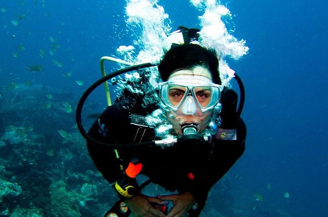 Antalya Scuba Diving at Mediterranean Sea incl. Lunch - Tekirova, Phaselis Koyu, and Kemer: The Day’s Boat-Stop Pattern