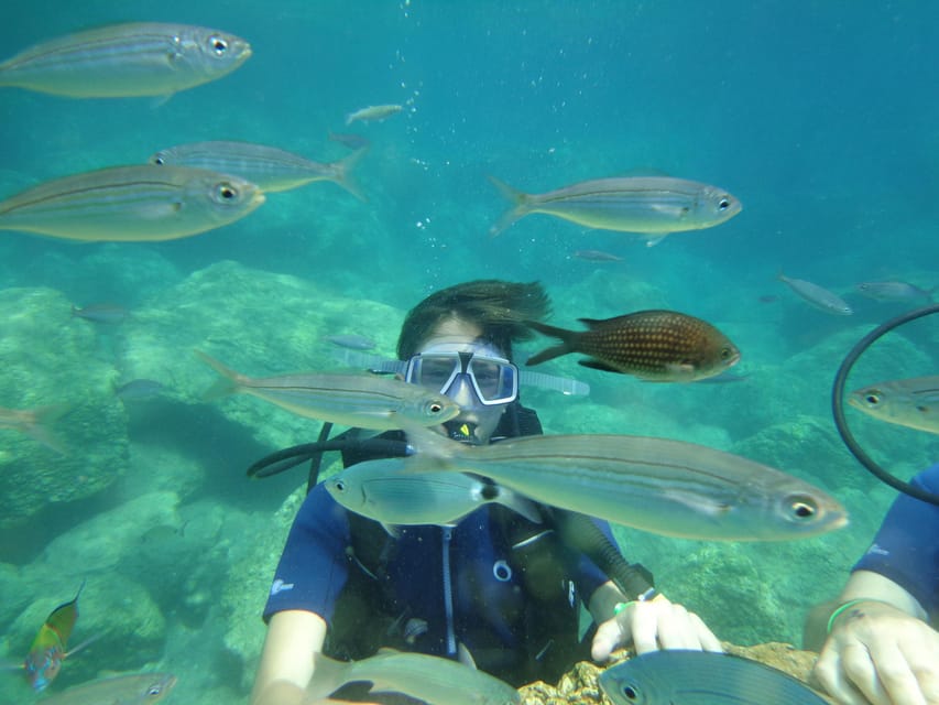 Antalya Scuba Diving Tour, With Lunch & Return Transfers - What to Bring for a Smooth Boat and Water Day
