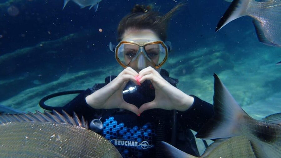 Antalya Scuba Diving Tour, With Lunch & Return Transfers - Why Setur Marina and the Boat Schedule Makes This Feel Like a Real Day