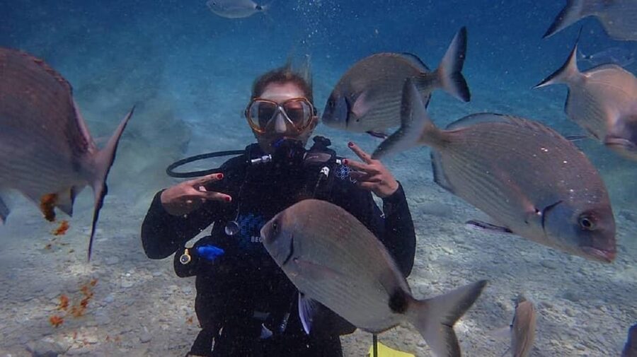 Antalya Scuba Diving Tour, With Lunch & Return Transfers - Martı Island After Lunch: Swimming Break, Basic Training, and a Certificate