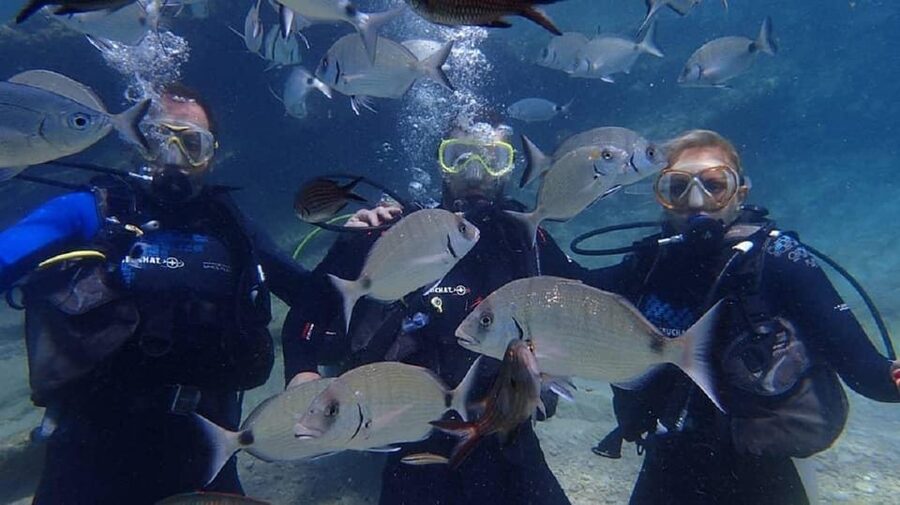 Antalya Scuba Diving Tour, With Lunch & Return Transfers - What’s Included in the Price (and What You’ll Likely Need to Budget)