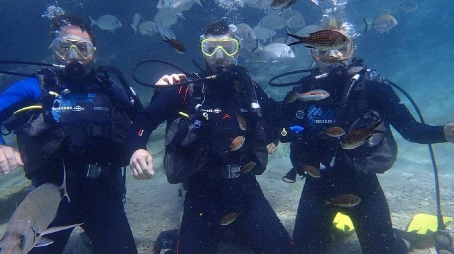 Antalya Scuba Diving Tour, With Lunch & Return Transfers - Safety, Skills, and Who This Tour Fits Best