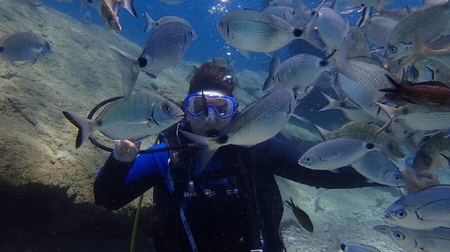 Antalya Scuba Diving Tour, With Lunch & Return Transfers - Languages and Instruction Style: English Plus Support Options