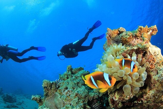 Antalya Scuba Diving With Transfer From Belek,Lara,Kemer Hotels - From Belek, Lara, Kemer Hotels to the Kemer Harbor