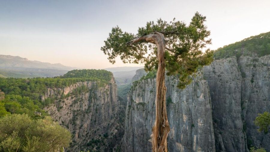 Antalya: Tazı Canyon - Rafting Combo Tour w/Pick Up - Tazı Canyon on a Cabrio Bus: The Best Way to See the Views