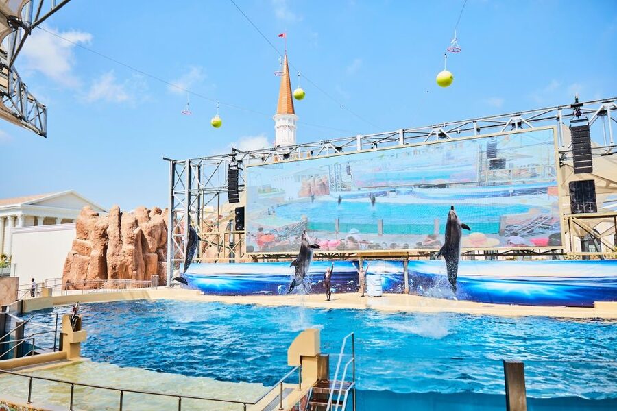 Antalya: The Land Of Legends Ticket Theme Park w/ Transfer - Aquarium shows and animal experiences: dolphins, belugas, walruses, penguins, sharks