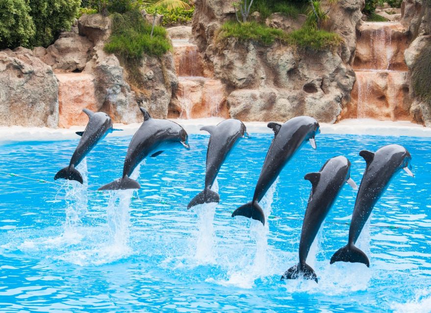 Antalya: The Land Of Legends Ticket Theme Park w/ Transfer - Price and logistics: what $29 gets you (and where money leaks out)