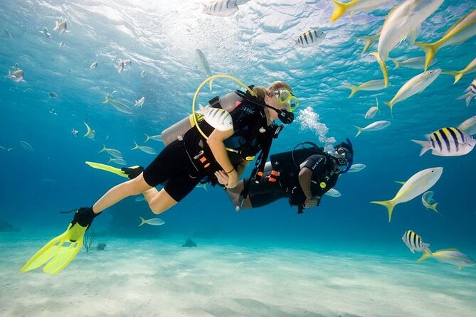 Diving Tour from Antalya or Kemer with Lunch - Key things to know before you go