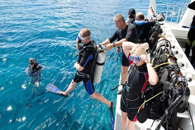 Diving Tour from Antalya or Kemer with Lunch - A 6-hour scuba experience from Antalya or Kemer