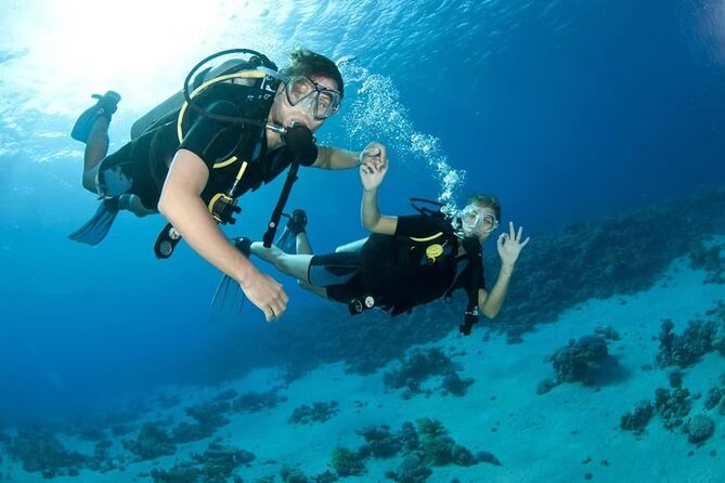 Diving Tour from Antalya or Kemer with Lunch - Stop 1: Phaselis Koyu and Aquarium Bay around 5 meters