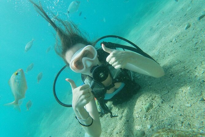 Diving with optional Pick Up - Drop Off from Antalya - A full day of two underwater sessions in Kemer
