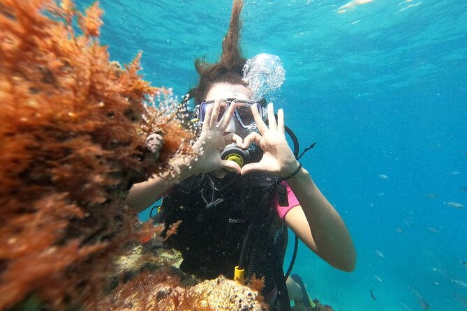 Diving with optional Pick Up - Drop Off from Antalya - Morning session: getting oriented and enjoying the underwater canyons