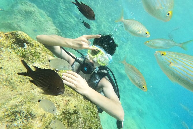 Diving with optional Pick Up - Drop Off from Antalya - Pickup from Antalya: the 2-hour transfer that shapes your schedule