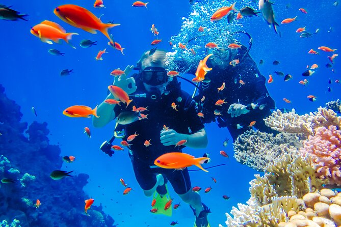 Exciteful Scuba Diving Experience in Antalya - Key highlights you’ll care about