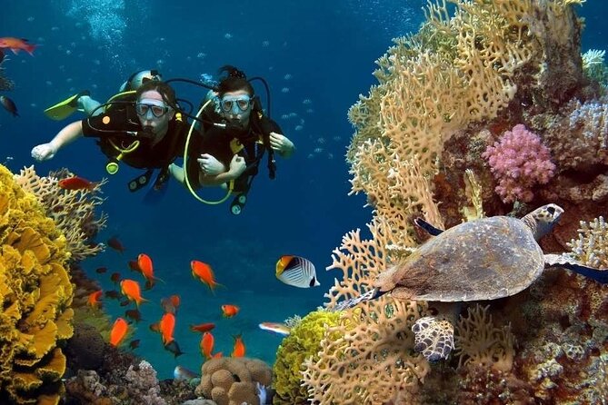 Exciteful Scuba Diving Experience in Antalya - Antalya’s Konyaaltı coast: the main reason this is worth it