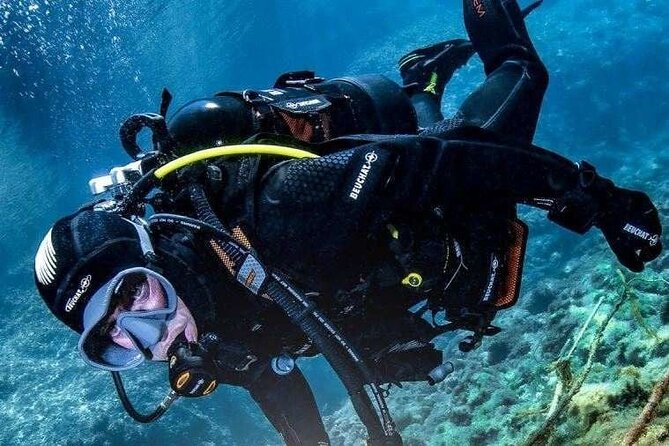 Exciteful Scuba Diving Experience in Antalya - What you’ll see underwater near Konyaaltı