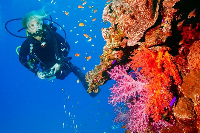 Exciteful Scuba Diving Experience in Antalya - From 10:00 am pickup to two underwater sessions: how the day moves