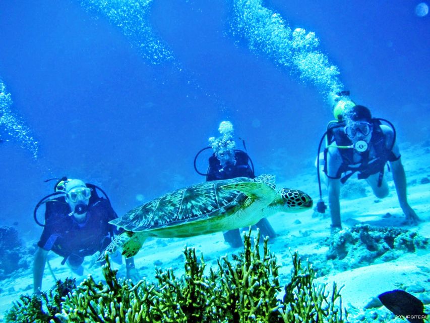 From Antalya| Kemer: Diving Tour with Experienced Instructor - Key highlights and what to know first