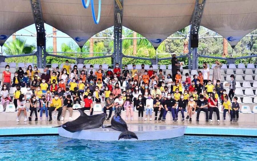 From Belek: Dolphin Show with Transfers - Cancellation, Flexibility, and Booking Smart
