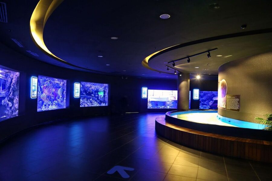 From city of Side: Antalya Aquarium Full-Day Trip - Entering Antalya Aquarium: how to get the most from limited time