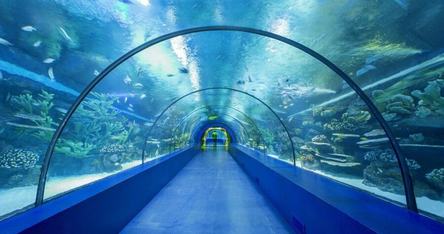 From city of Side: Antalya Aquarium Full-Day Trip - Waterfall stop and Antalya free time: how the day balances animals with city wandering