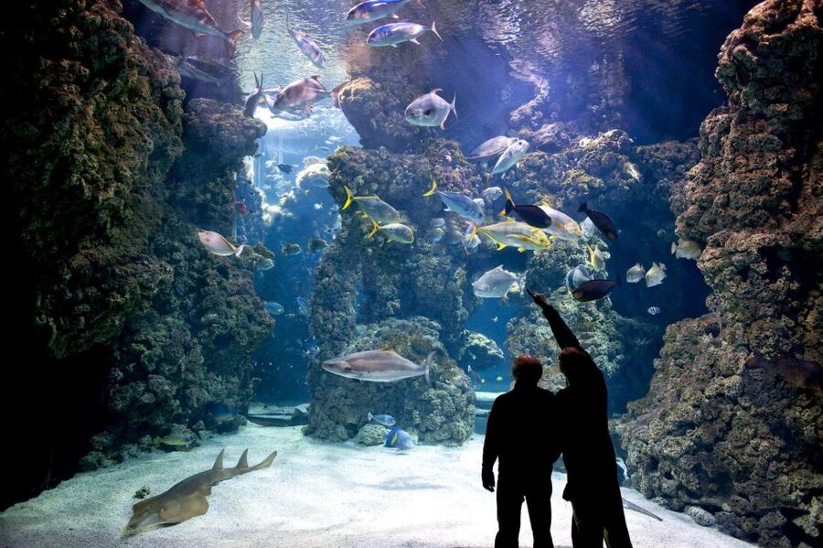 From city of Side: Antalya Aquarium Full-Day Trip - Who this trip suits best (and who might skip)