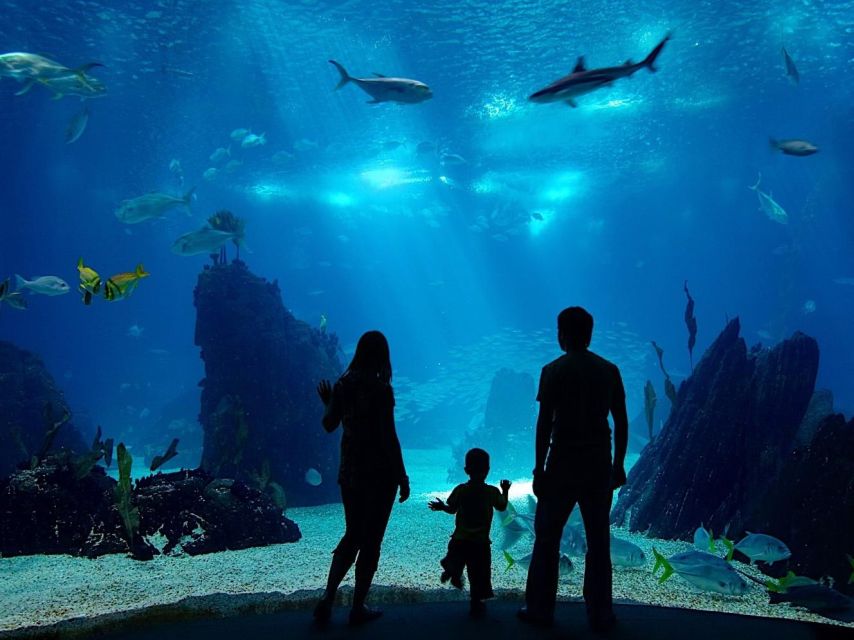 From city of Side: Antalya Aquarium Full-Day Trip - The sound-and-setting design: the cool tech you don’t want to miss