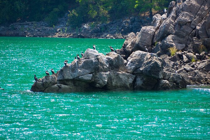 Green Canyon Boat Tour w/Lunch From Belek - The Green Canyon Cruise (About 5 Hours): Clear Water, Bird Sounds, and Wildlife