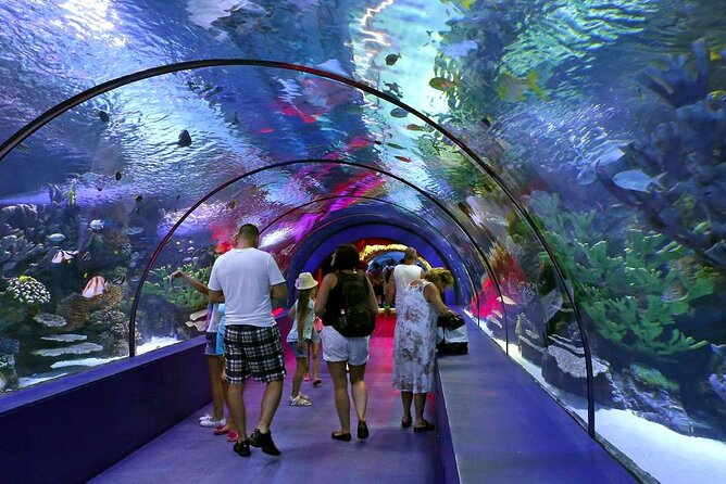 Half Day Antalya Aquarium Tour And Wax Museum - Getting On the Van: Where Logistics Turn Into Comfort