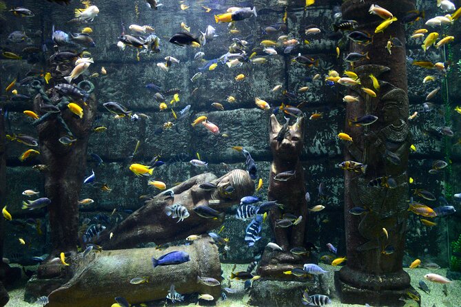 Half Day Antalya Aquarium Tour And Wax Museum - Face2Face Wax Museum: Fast, Funny, and Surprisingly Personal