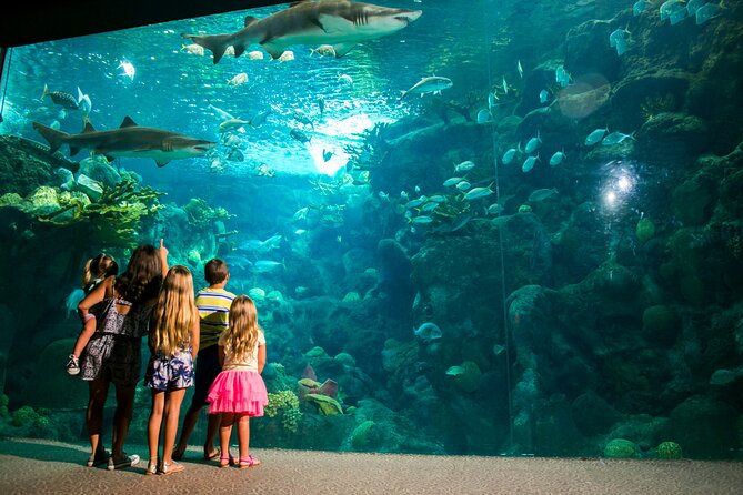 Half Day Antalya Aquarium Tour And Wax Museum - Price and Value: Is $70 Fair for What You Get?