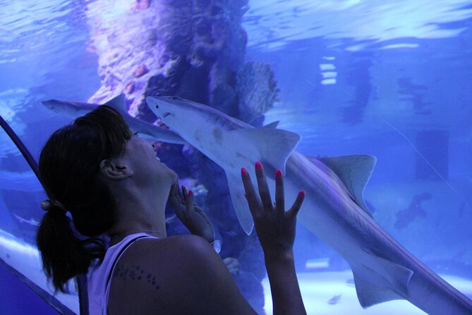 Half Day Antalya Aquarium Tour And Wax Museum - Who This Tour Fits Best (and Who Might Want Something Else)