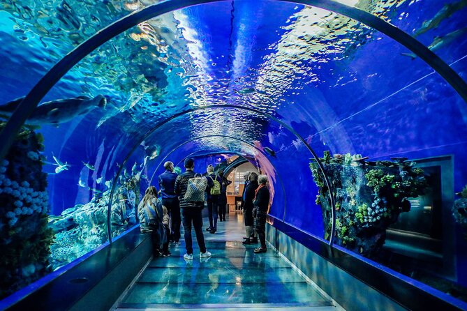 Half Day Antalya Aquarium Tour And Wax Museum - Practical Tips Before You Go