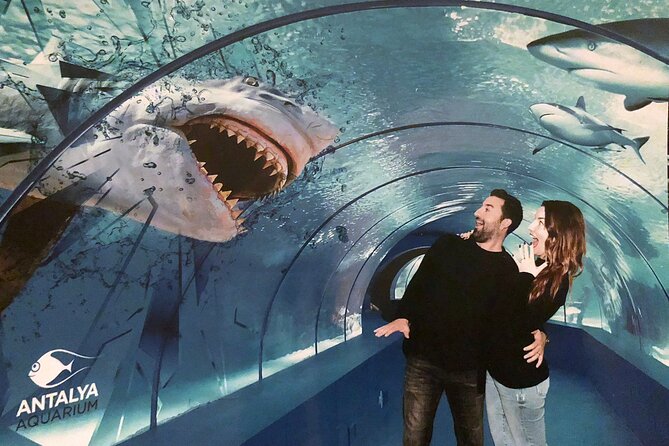 Half Day Antalya Aquarium Tour And Wax Museum - Inside Antalya Aquarium: The Part You’ll Remember