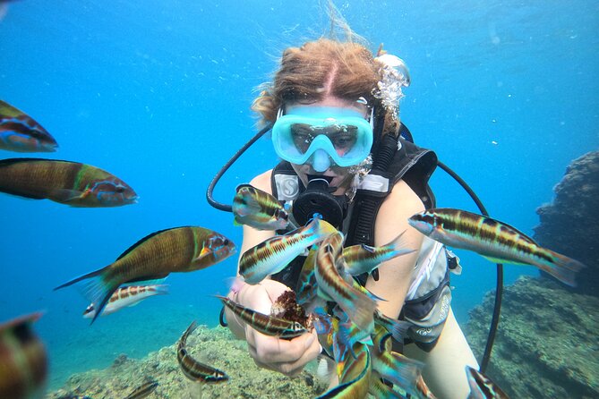 Half Day Scuba Diving @ Duden Waterfalls - Underwater session plans: 1 session for beginners, 2 for experienced divers