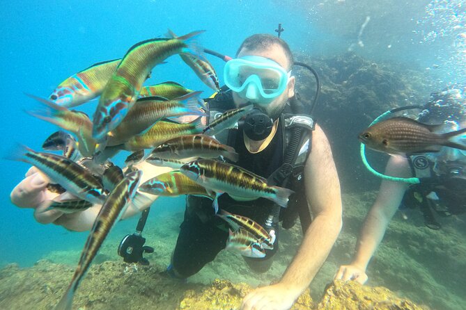 Half Day Scuba Diving @ Duden Waterfalls - The boat-to-waterfall rhythm: why the scenery matters
