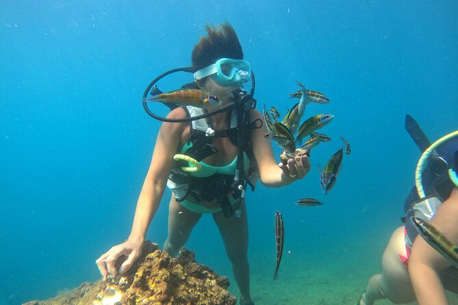 Half Day Scuba Diving @ Duden Waterfalls - Price and value: what $115.76 really covers