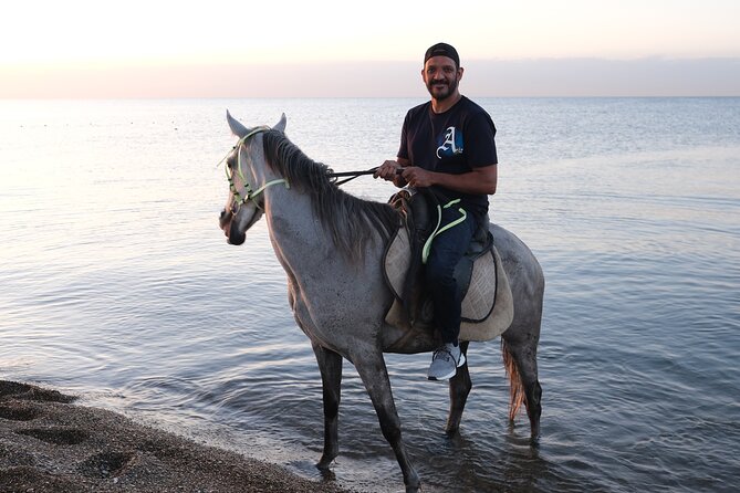 Horse back Riding in Antalya - Antalya Hotel Pickup vs. Lara Beach Meeting Point: Don’t Leave This to Chance