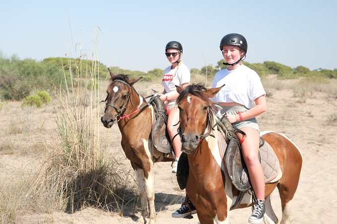 Horse back Riding in Antalya - Trained Horses and Beginner Support: What You’ll Actually Do