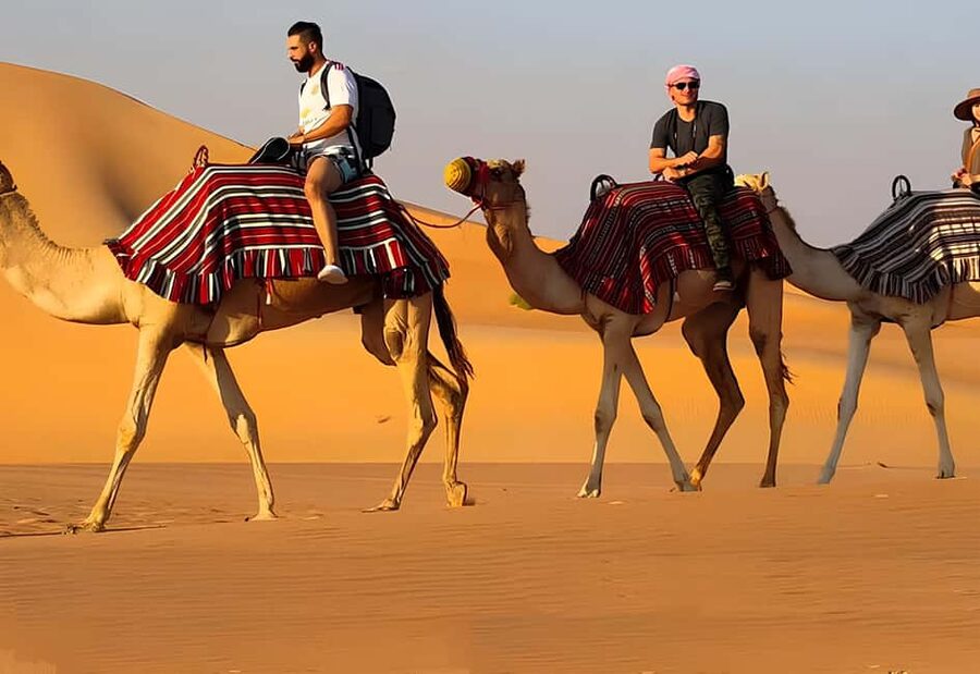 Horse Riding and Training Experience on a Farm in Antalya - Choosing Horse vs Camel vs Donkey: Match the Ride to Your Comfort