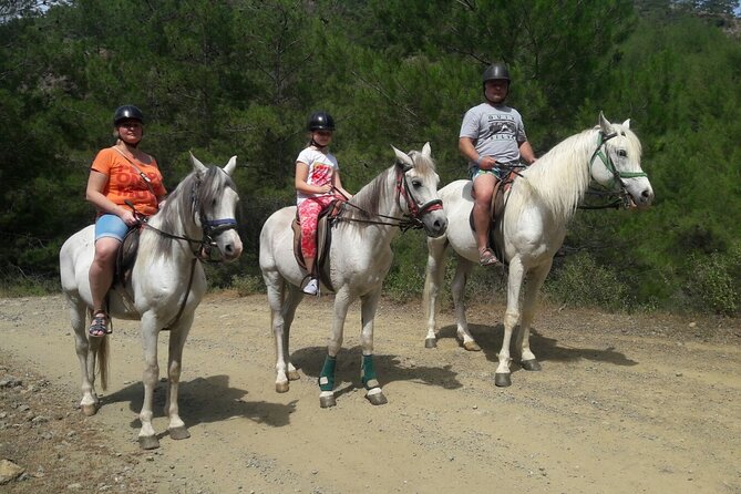 Horse Riding in Antalya,Belek,Lara Beach(Sunrise,Sunset,Day Time) - Choosing Between Forest Day, Sunrise Beach, and Sunset Combo Rides