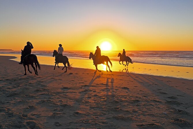 Horse Riding in Antalya,Belek,Lara Beach(Sunrise,Sunset,Day Time) - Photos, Phones, and the Professional Photographer Push