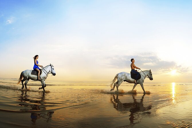 Horse Riding in Antalya,Belek,Lara Beach(Sunrise,Sunset,Day Time) - Logistics and Weather: The Stuff You Can Control (and the Stuff You Can’t)
